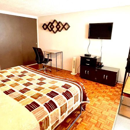 B&B Mexico Roma Norte Buitenkant foto